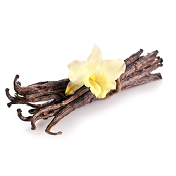 ingredienti-gelateria-eccetera-bolzano-gelato-artigianale-merano-bressanone-alto-adige4